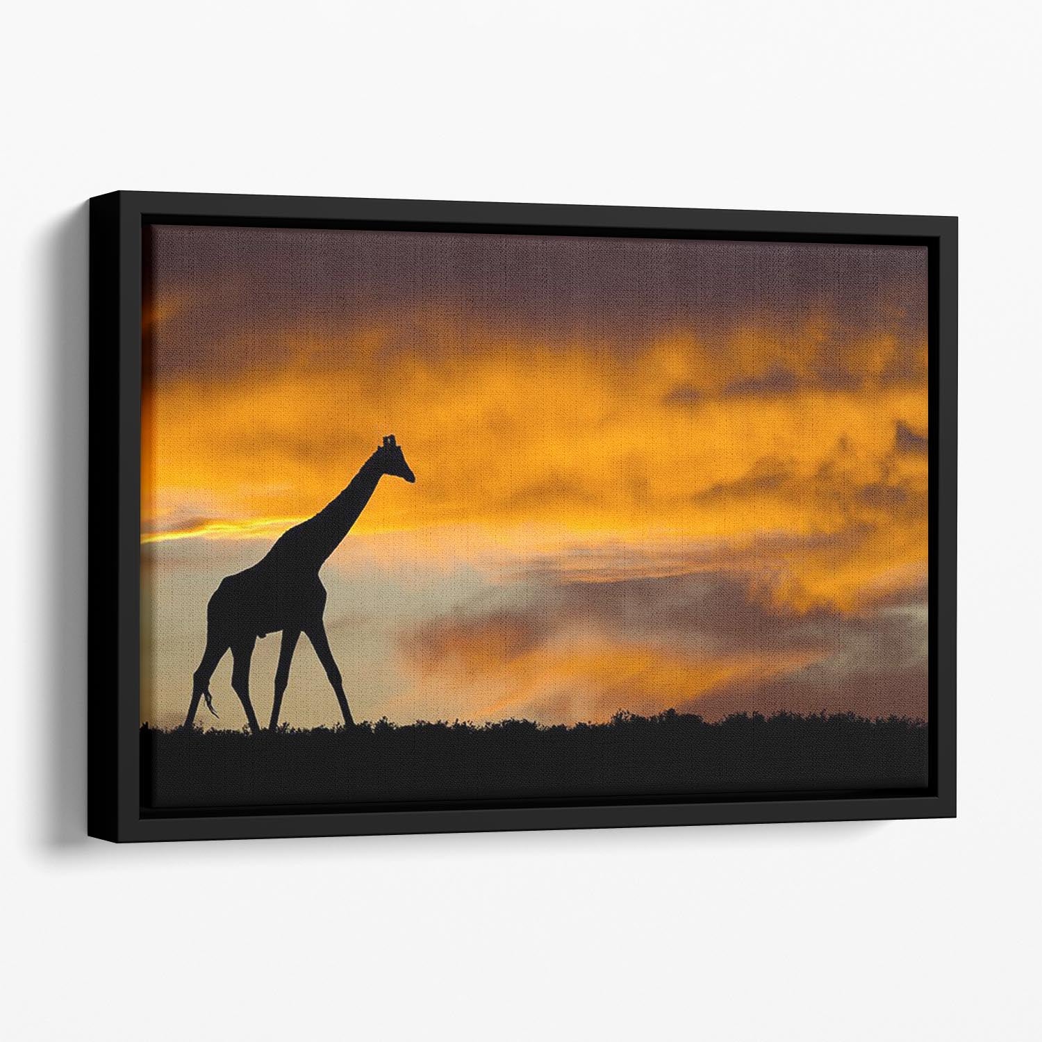 Idyllic african wildlife silhouette Floating Framed Canvas - Canvas Art Rocks - 1