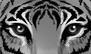 Illustration of a tiger with sharp eyes Wall Mural Wallpaper - Canvas Art Rocks - 1