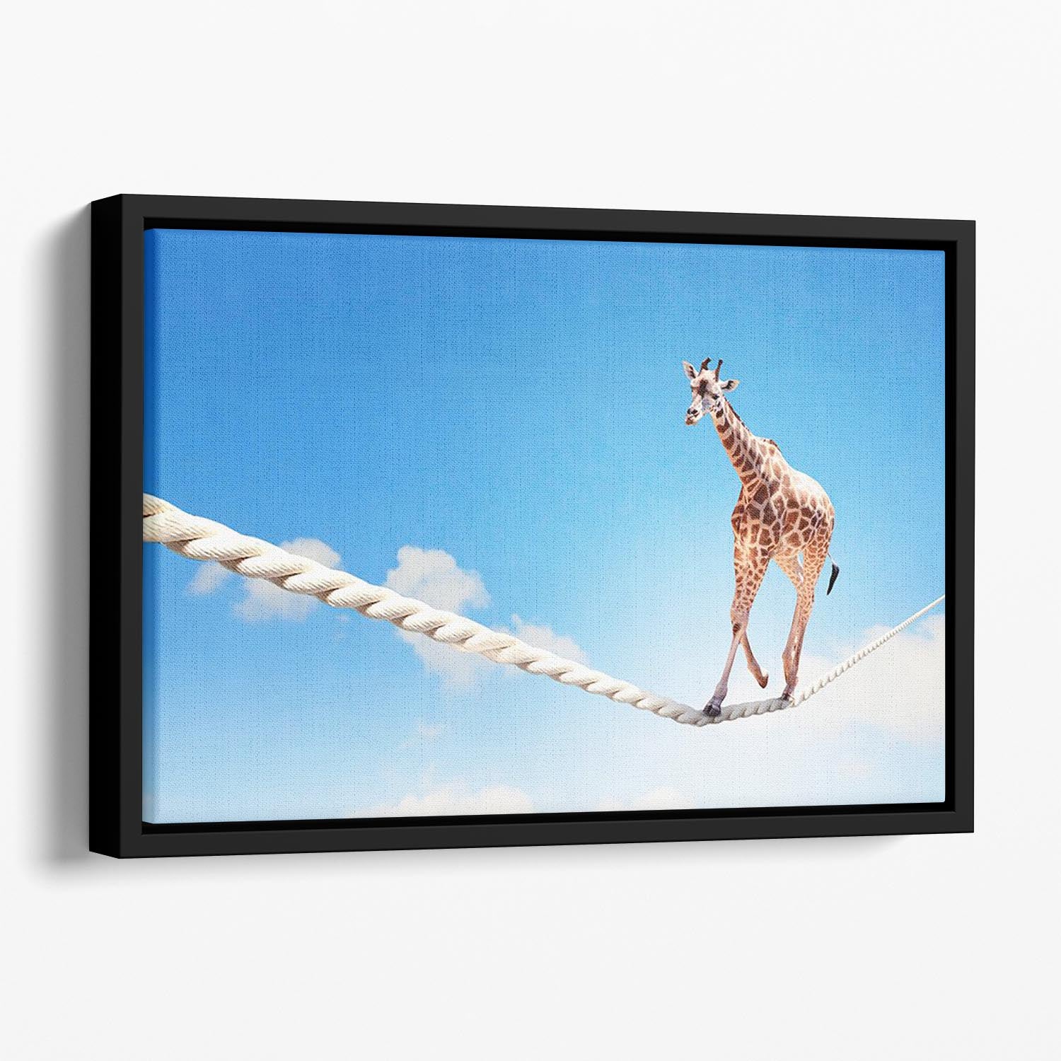 Image of giraffe walking on rope high in sky Floating Framed Canvas - Canvas Art Rocks - 1