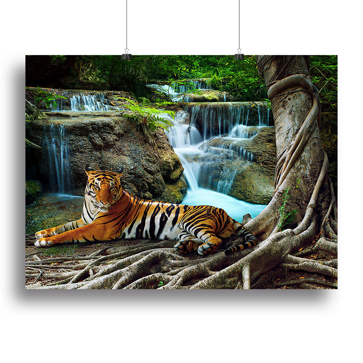 Indochina tiger Canvas Print or Poster - Canvas Art Rocks - 2