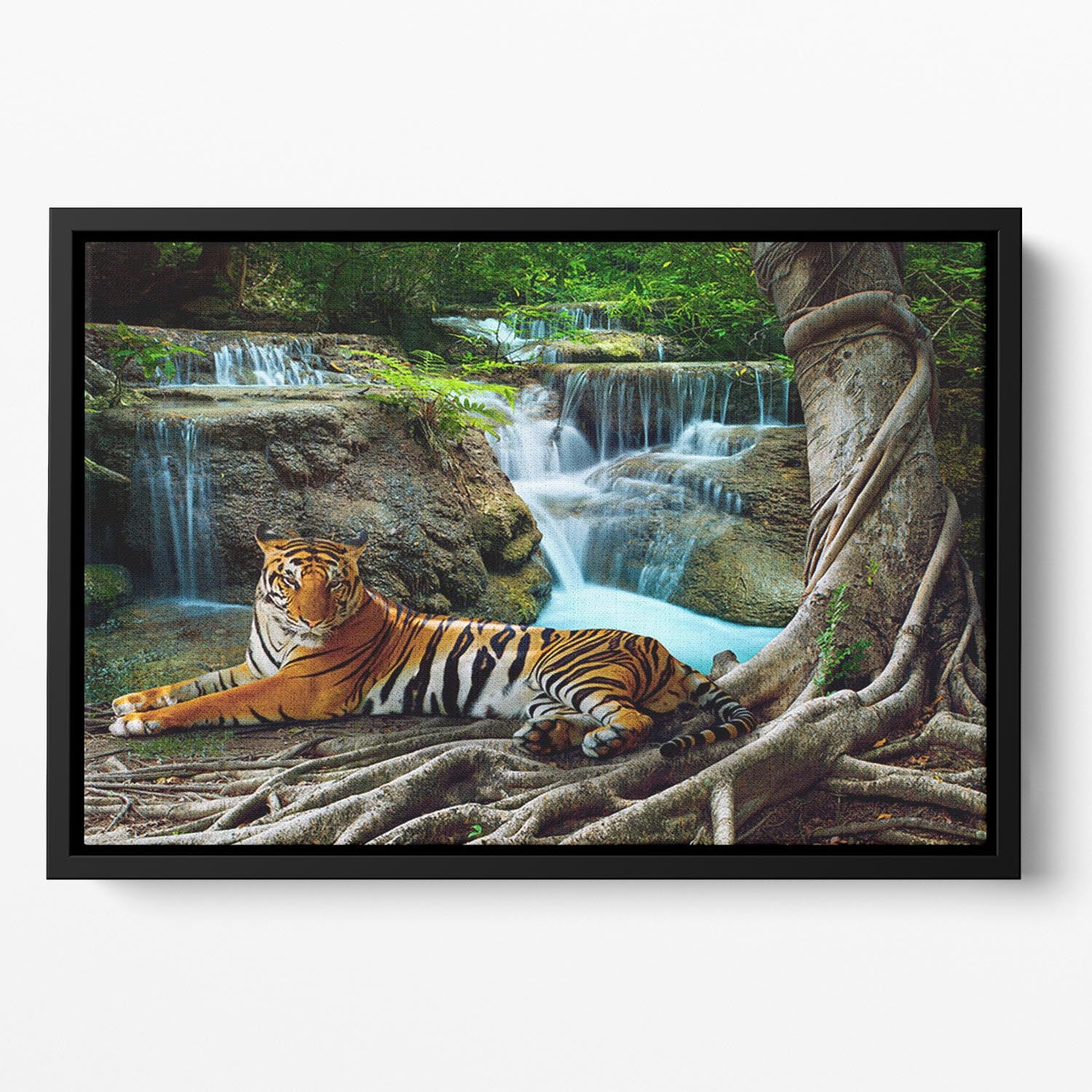 Indochina tiger Floating Framed Canvas - Canvas Art Rocks - 2
