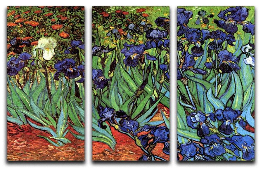 Irises 2 by Van Gogh 3 Split Panel Canvas Print - Canvas Art Rocks - 4