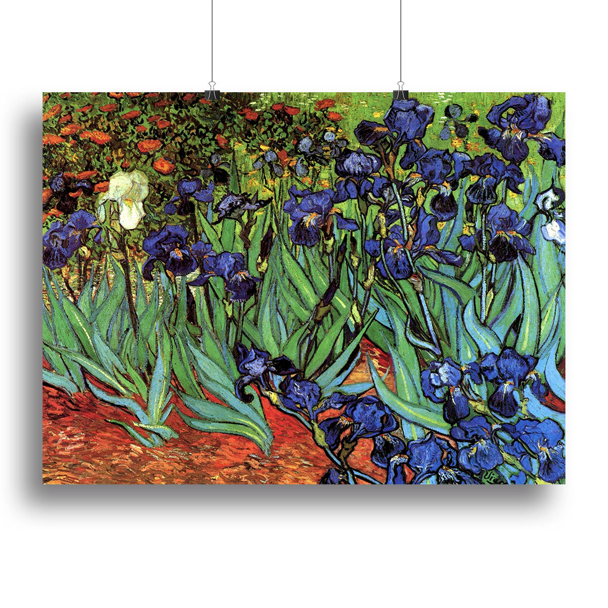 Irises 2 by Van Gogh Canvas Print or Poster - Canvas Art Rocks - 2