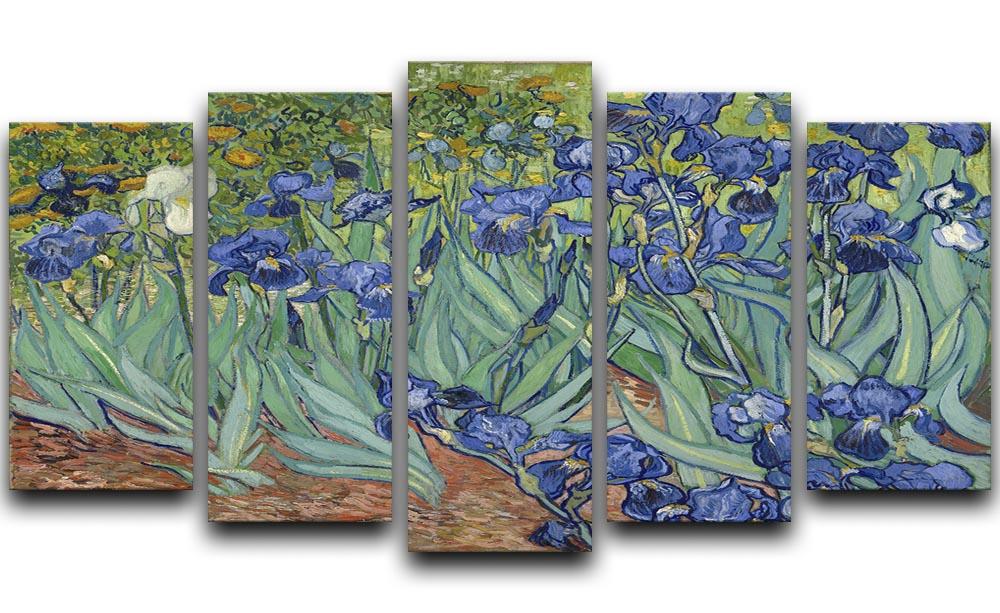 Irises by Van Gogh 5 Split Panel Canvas  - Canvas Art Rocks - 1