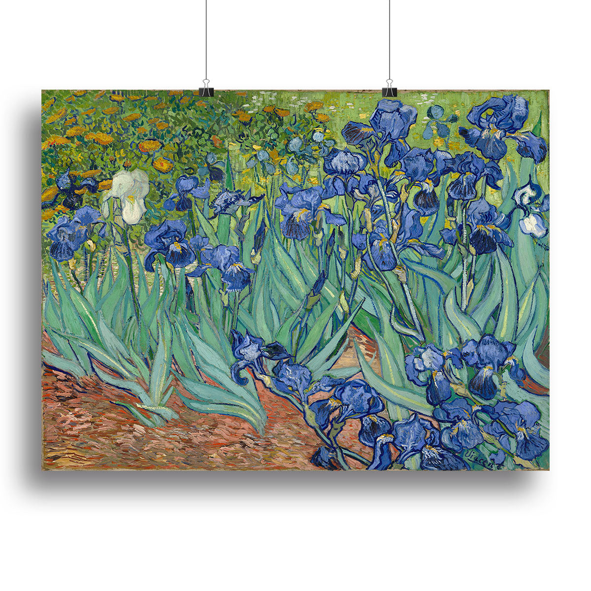 Irises by Van Gogh Canvas Print or Poster - Canvas Art Rocks - 2