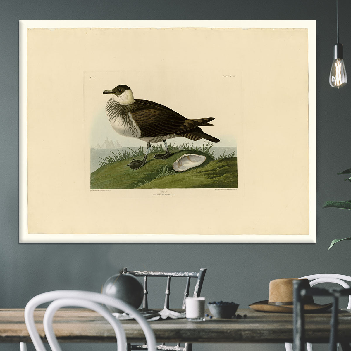 Jager by Audubon Canvas Print or Poster - Canvas Art Rocks - 3