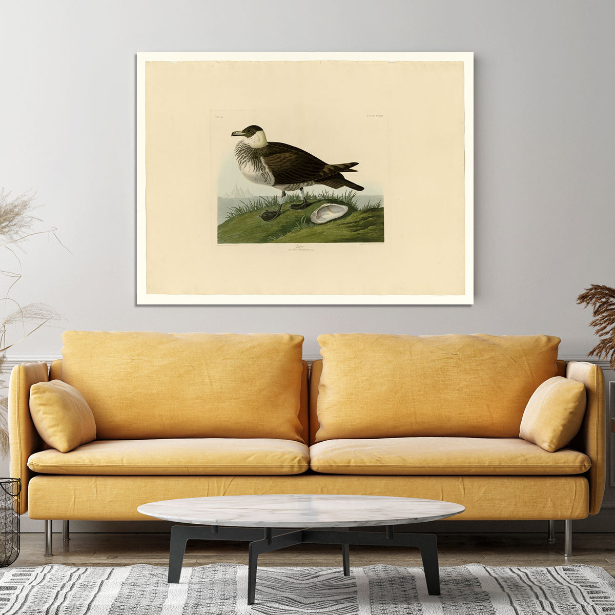 Jager by Audubon Canvas Print or Poster - Canvas Art Rocks - 4
