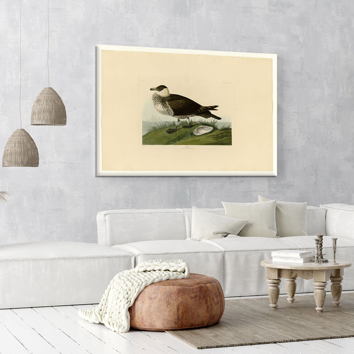 Jager by Audubon Canvas Print or Poster - Canvas Art Rocks - 6