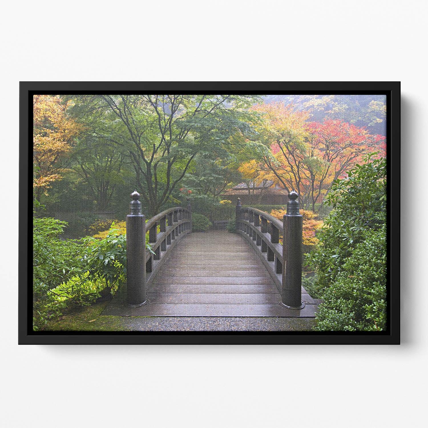 Japanese Garden Oregon in Autumn Floating Framed Canvas