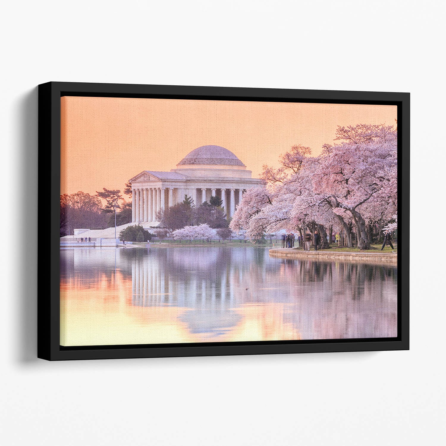 Jefferson Memorial during the Cherry Blossom Festival Floating Framed Canvas