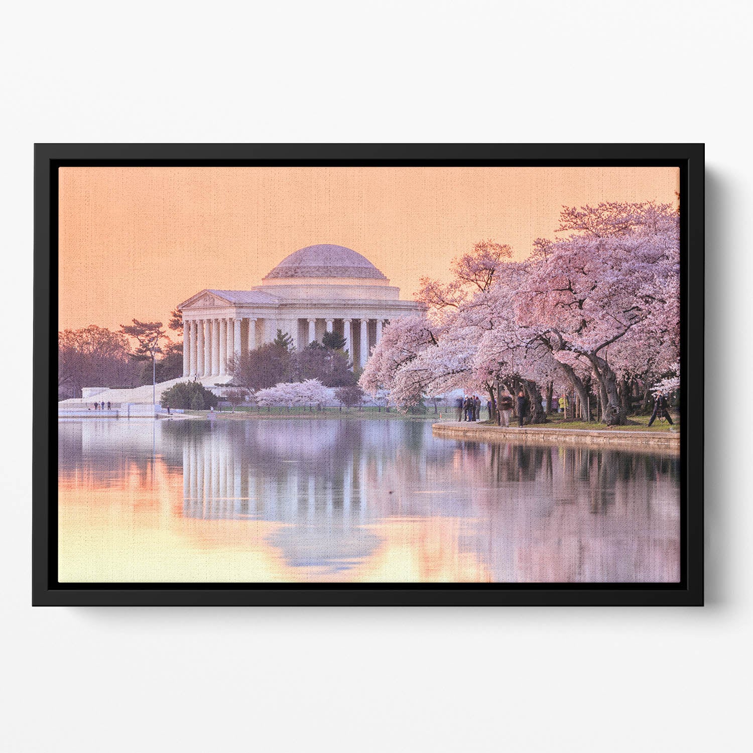 Jefferson Memorial during the Cherry Blossom Festival Floating Framed Canvas