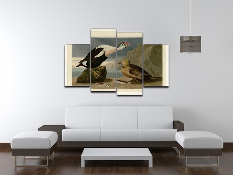 King Duck by Audubon 4 Split Panel Canvas - Canvas Art Rocks - 3