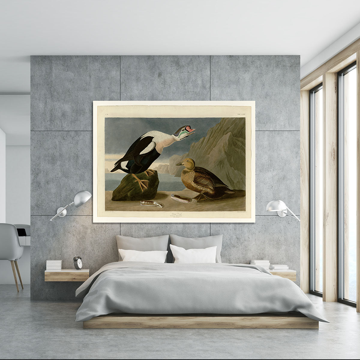 King Duck by Audubon Canvas Print or Poster - Canvas Art Rocks - 5