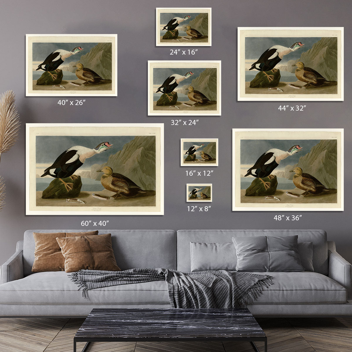 King Duck by Audubon Canvas Print or Poster - Canvas Art Rocks - 7