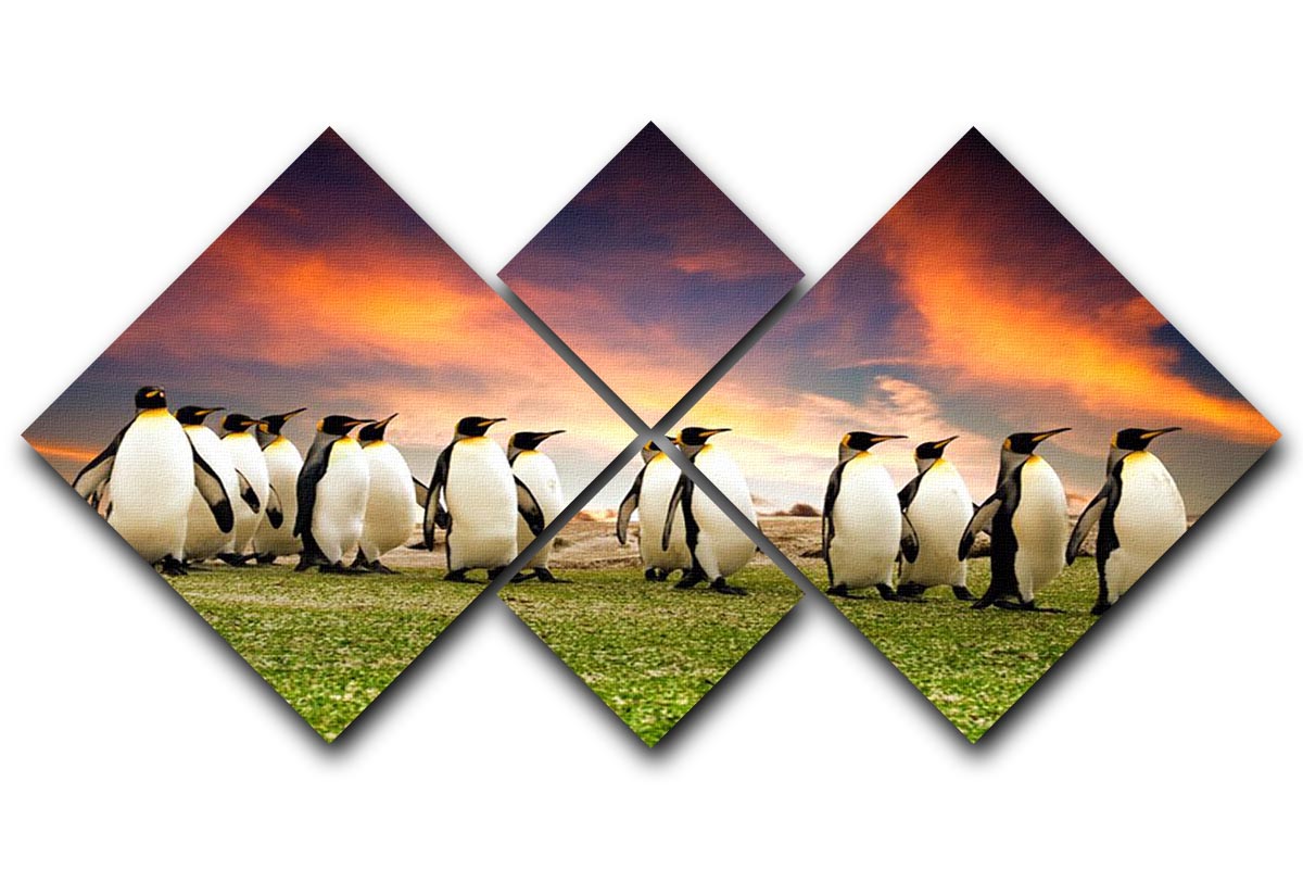 King Penguins in the Falkland Islands 4 Square Multi Panel Canvas - Canvas Art Rocks - 1