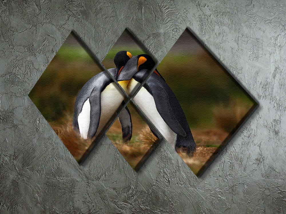 King penguin couple cuddling 4 Square Multi Panel Canvas - Canvas Art Rocks - 2