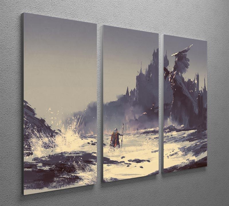 King walking through sea beach 3 Split Panel Canvas Print - Canvas Art Rocks - 2