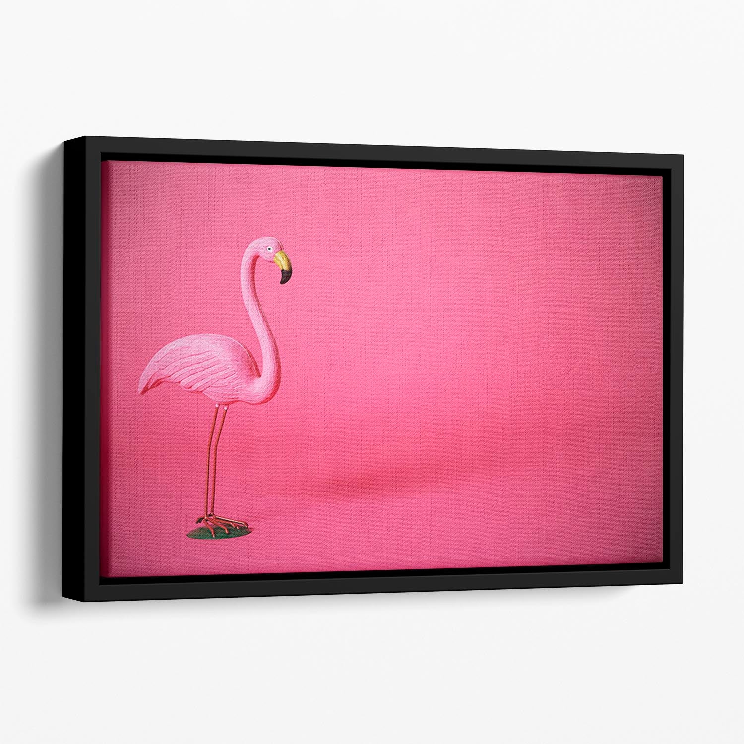 Kitsch pink flamingo in studio Floating Framed Canvas - Canvas Art Rocks - 1