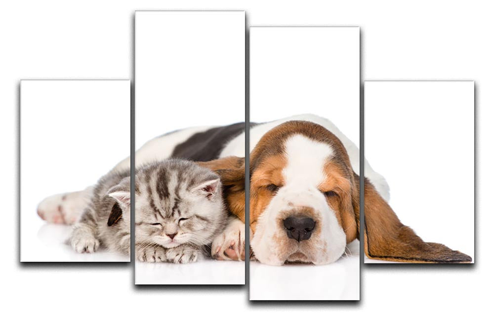 Kitten and puppy sleeping together. isolated on white background 4 Split Panel Canvas - Canvas Art Rocks - 1