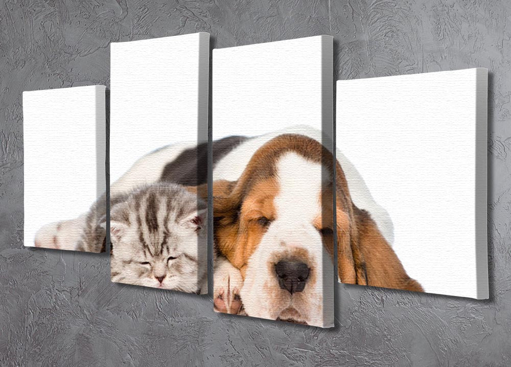 Kitten and puppy sleeping together. isolated on white background 4 Split Panel Canvas - Canvas Art Rocks - 2