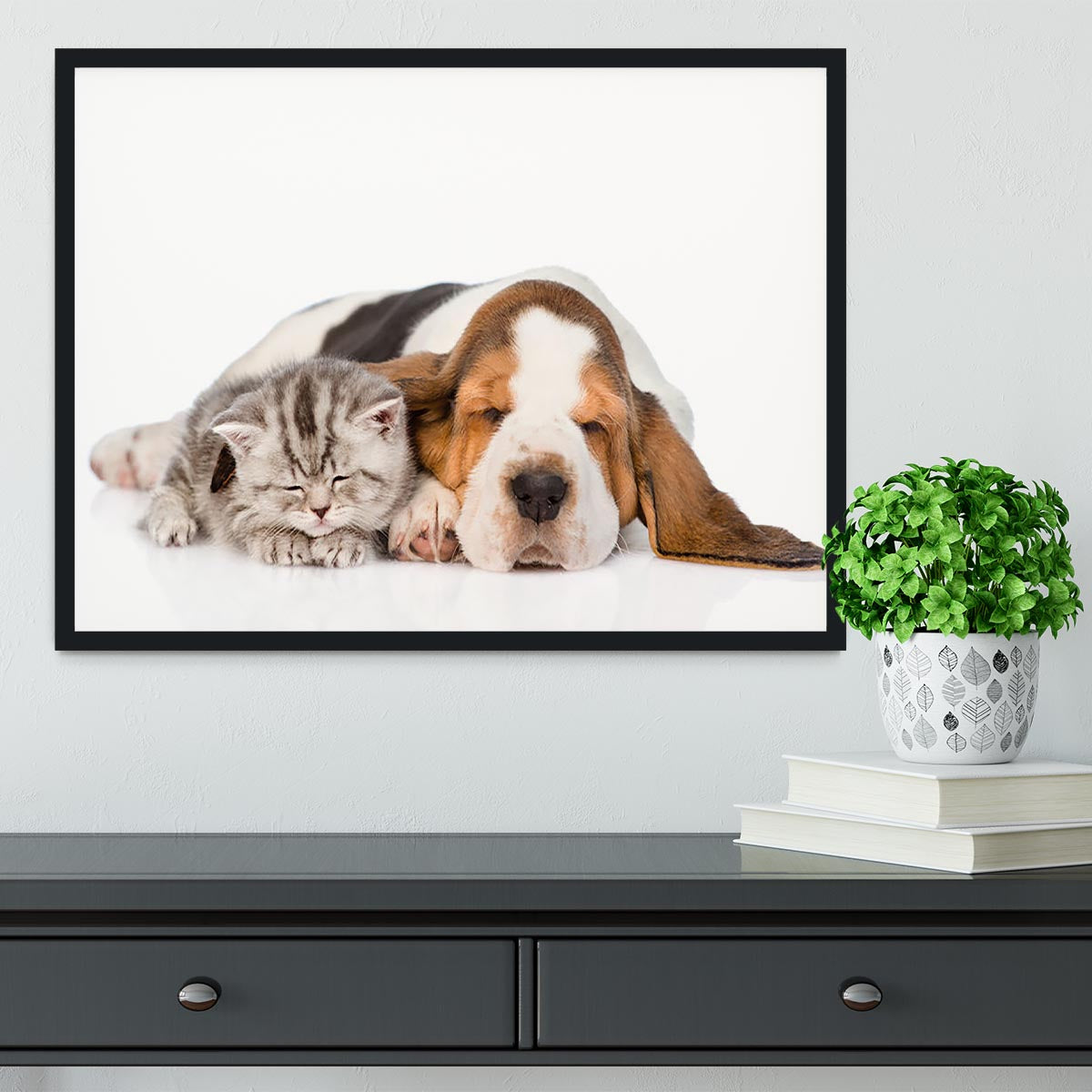 Kitten and puppy sleeping together. isolated on white background Framed Print - Canvas Art Rocks - 2