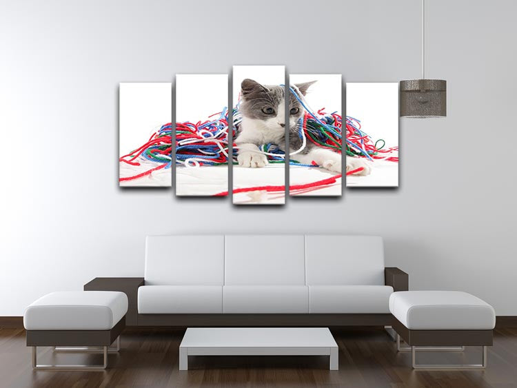 Kitten playing with yarn 5 Split Panel Canvas - Canvas Art Rocks - 3
