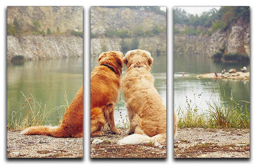 Lake for swimming. Two golden retriever dogs 3 Split Panel Canvas Print - Canvas Art Rocks - 1
