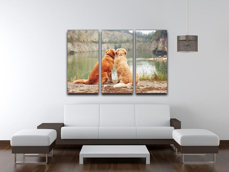 Lake for swimming. Two golden retriever dogs 3 Split Panel Canvas Print - Canvas Art Rocks - 3