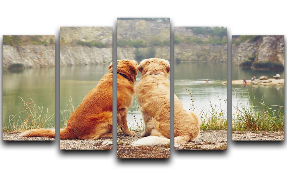 Lake for swimming. Two golden retriever dogs 5 Split Panel Canvas - Canvas Art Rocks - 1
