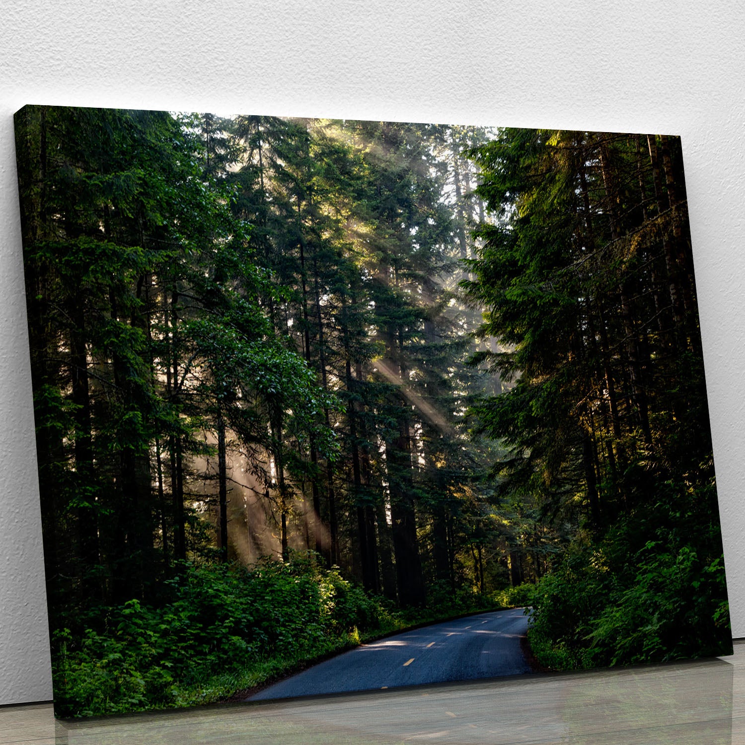 Landscape Forest Canvas Print or Poster - Canvas Art Rocks - 1