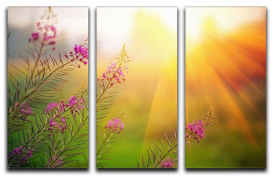 Landscape with Fireweed at sunny summer 3 Split Panel Canvas Print - Canvas Art Rocks - 1