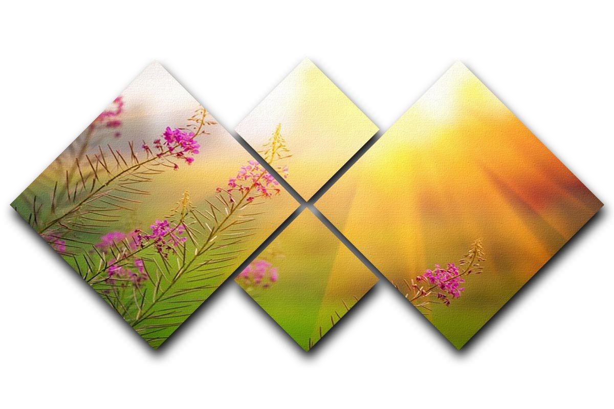 Landscape with Fireweed at sunny summer 4 Square Multi Panel Canvas  - Canvas Art Rocks - 1