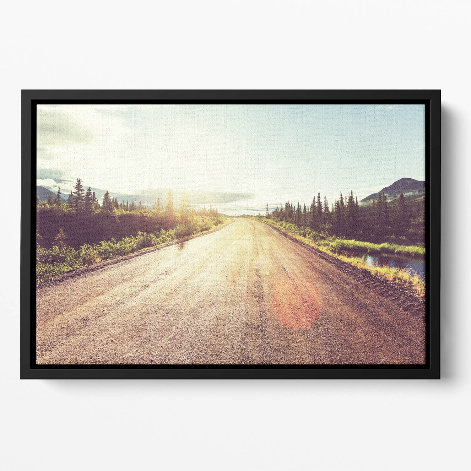 Landscapes on Denali highway Floating Framed Canvas