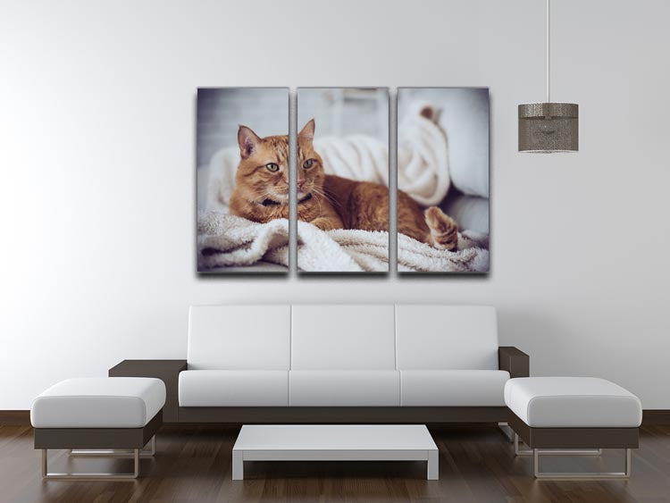 Large home fluffy ginger cat lying on the sofa 3 Split Panel Canvas Print - Canvas Art Rocks - 3