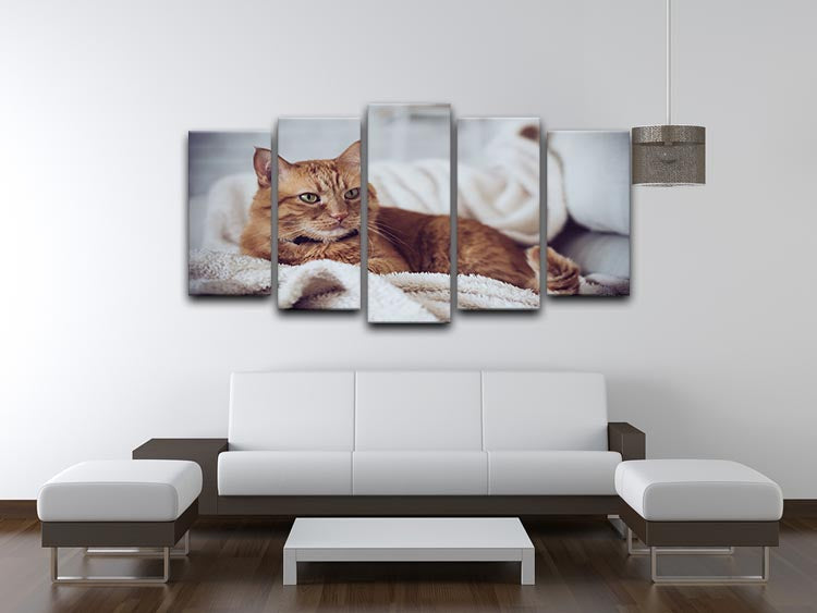 Large home fluffy ginger cat lying on the sofa 5 Split Panel Canvas - Canvas Art Rocks - 3