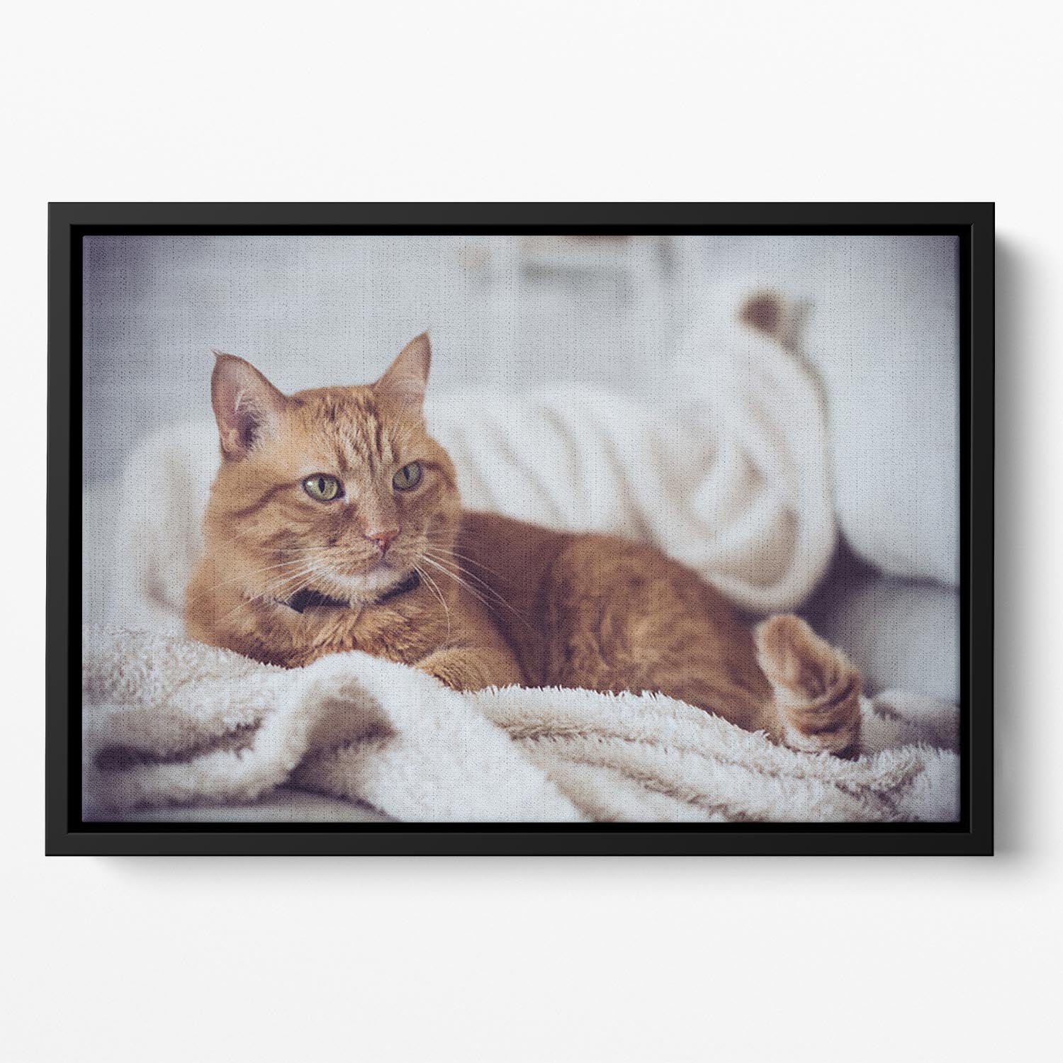 Large home fluffy ginger cat lying on the sofa Floating Framed Canvas - Canvas Art Rocks - 2
