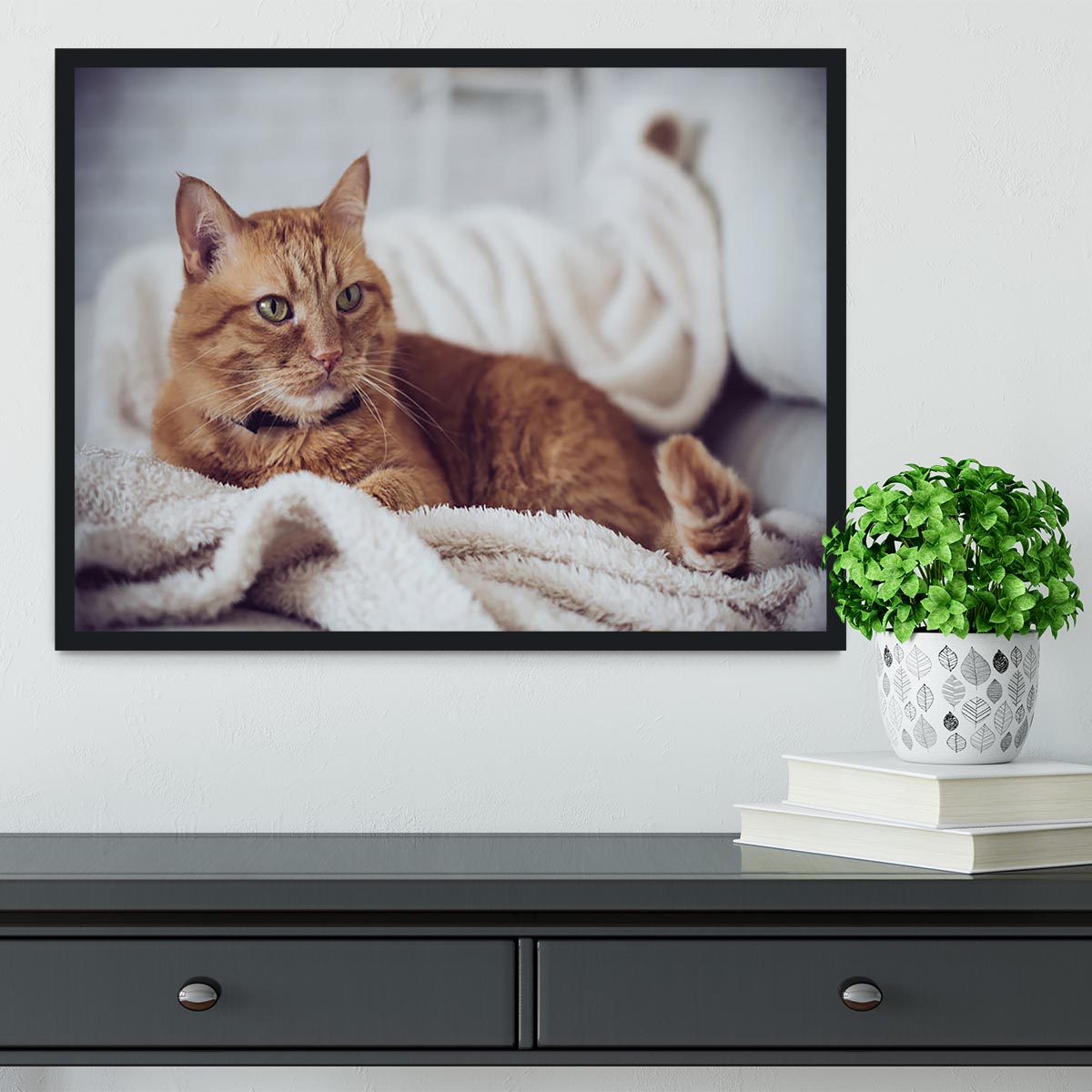 Large home fluffy ginger cat lying on the sofa Framed Print - Canvas Art Rocks - 2