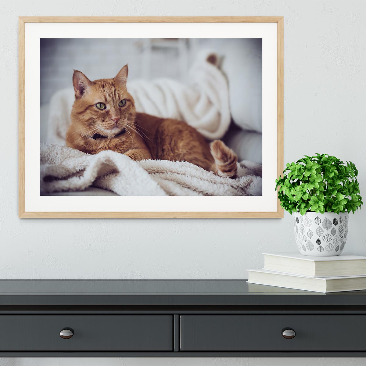 Large home fluffy ginger cat lying on the sofa Framed Print - Canvas Art Rocks - 3