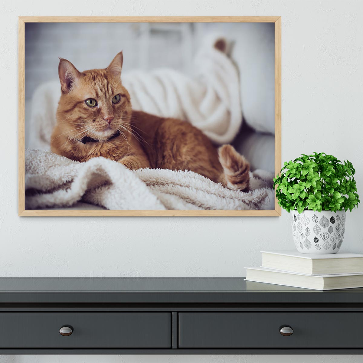 Large home fluffy ginger cat lying on the sofa Framed Print - Canvas Art Rocks - 4