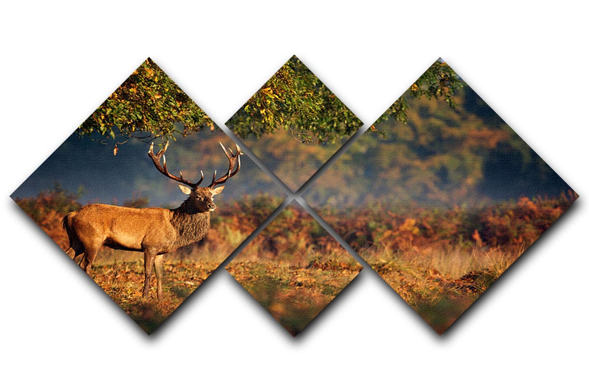 Large red deer stag in autumn 4 Square Multi Panel Canvas - Canvas Art Rocks - 1