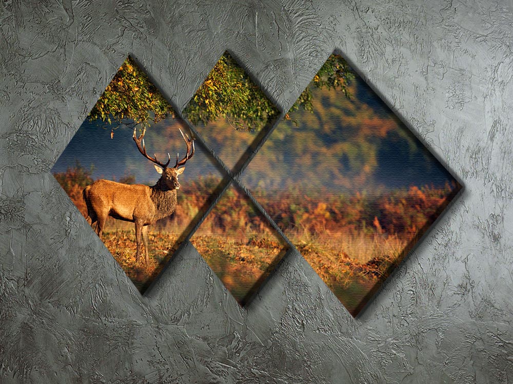 Large red deer stag in autumn 4 Square Multi Panel Canvas - Canvas Art Rocks - 2