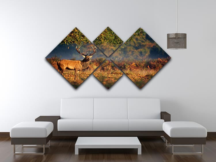 Large red deer stag in autumn 4 Square Multi Panel Canvas - Canvas Art Rocks - 3