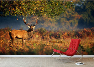 Large red deer stag in autumn Wall Mural Wallpaper - Canvas Art Rocks - 2