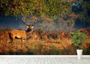Large red deer stag in autumn Wall Mural Wallpaper - Canvas Art Rocks - 4