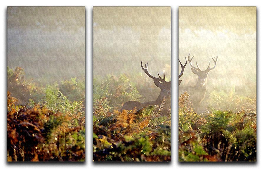 Large red deer stag in mist 3 Split Panel Canvas Print - Canvas Art Rocks - 1