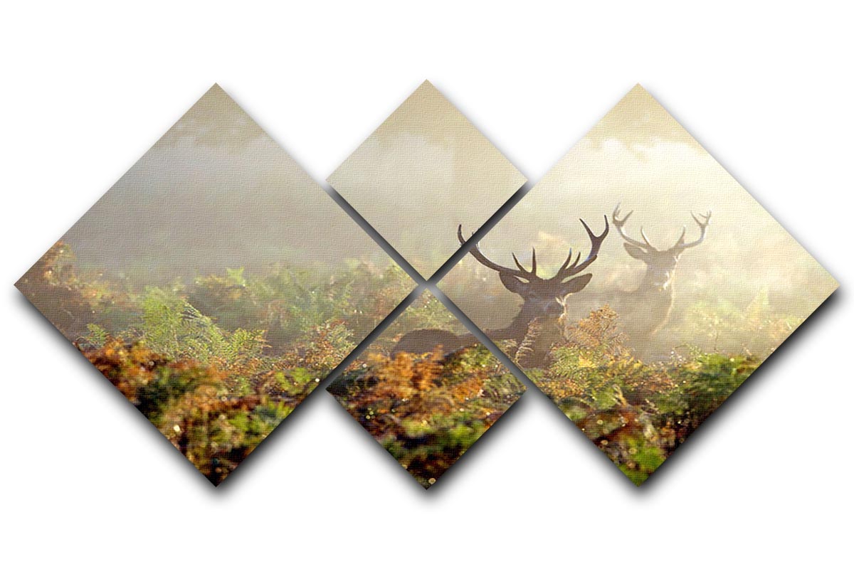 Large red deer stag in mist 4 Square Multi Panel Canvas - Canvas Art Rocks - 1