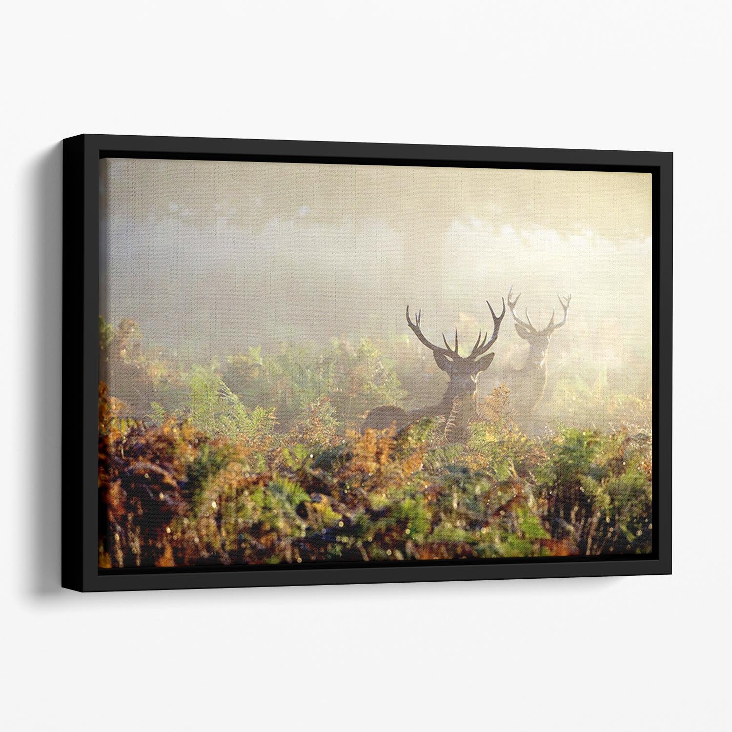 Large red deer stag in mist Floating Framed Canvas - Canvas Art Rocks - 1