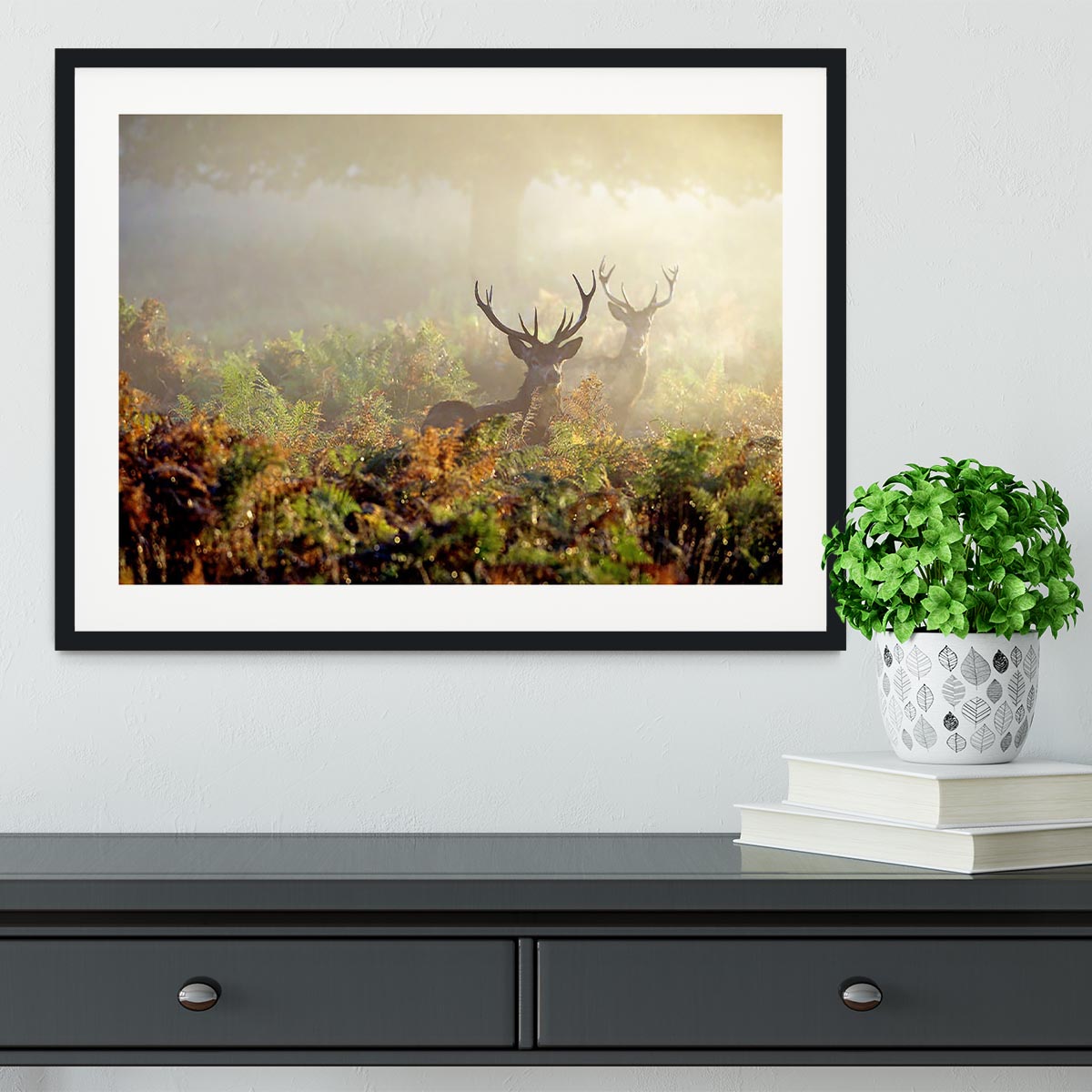 Large red deer stag in mist Framed Print - Canvas Art Rocks - 1