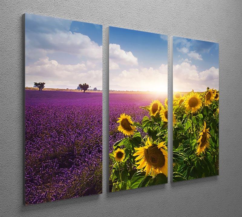Lavender and sunflowers fields 3 Split Panel Canvas Print - Canvas Art Rocks - 2