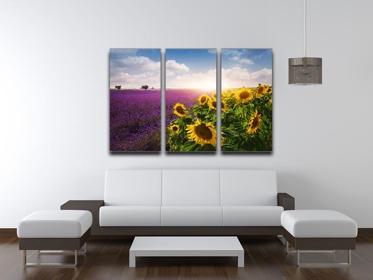 Lavender and sunflowers fields 3 Split Panel Canvas Print - Canvas Art Rocks - 3